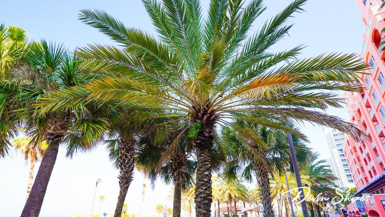 Devon Shores 2* Clearwater Beach